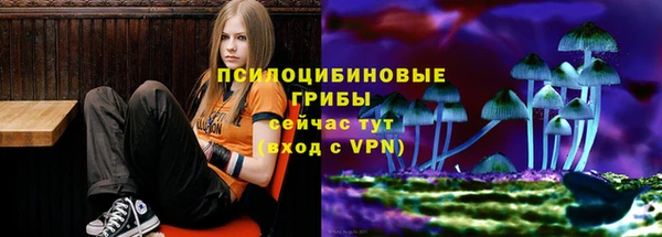 Альфа ПВП Пересвет